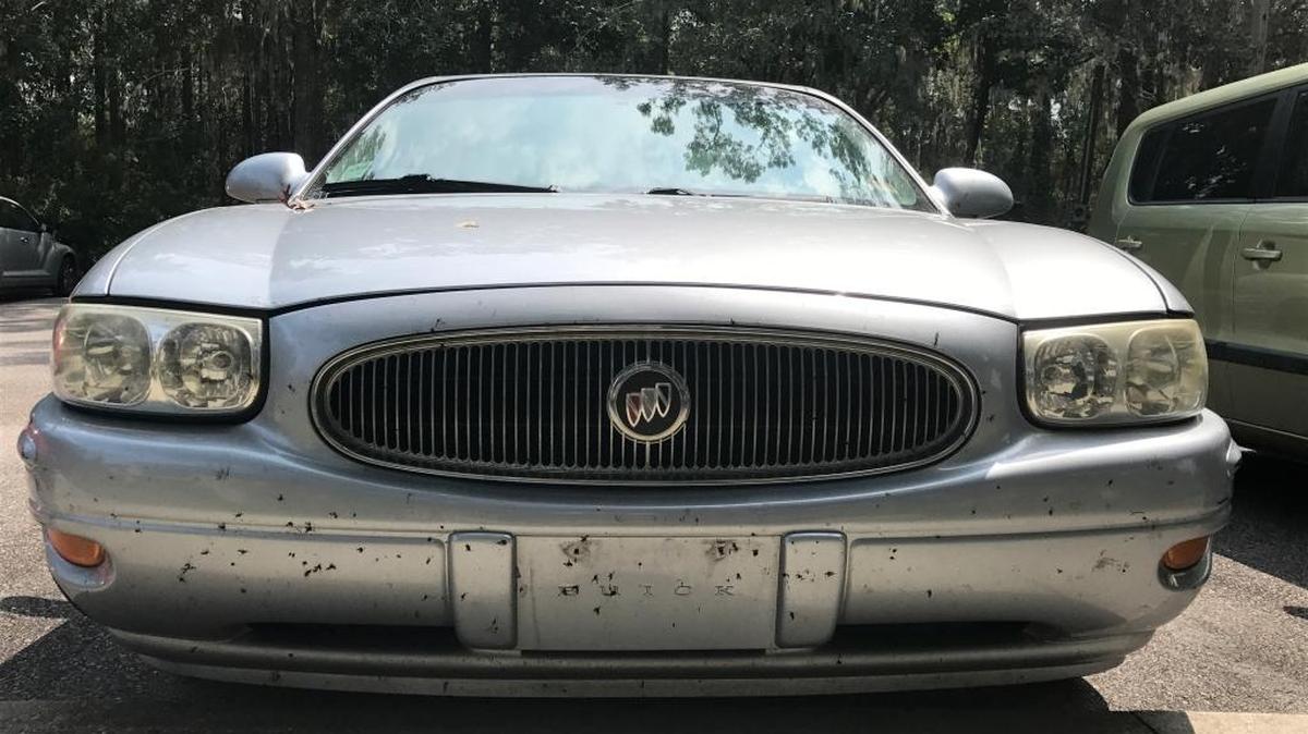 Dead lovebugs dot the front of this car. The bugs are active in May and September.