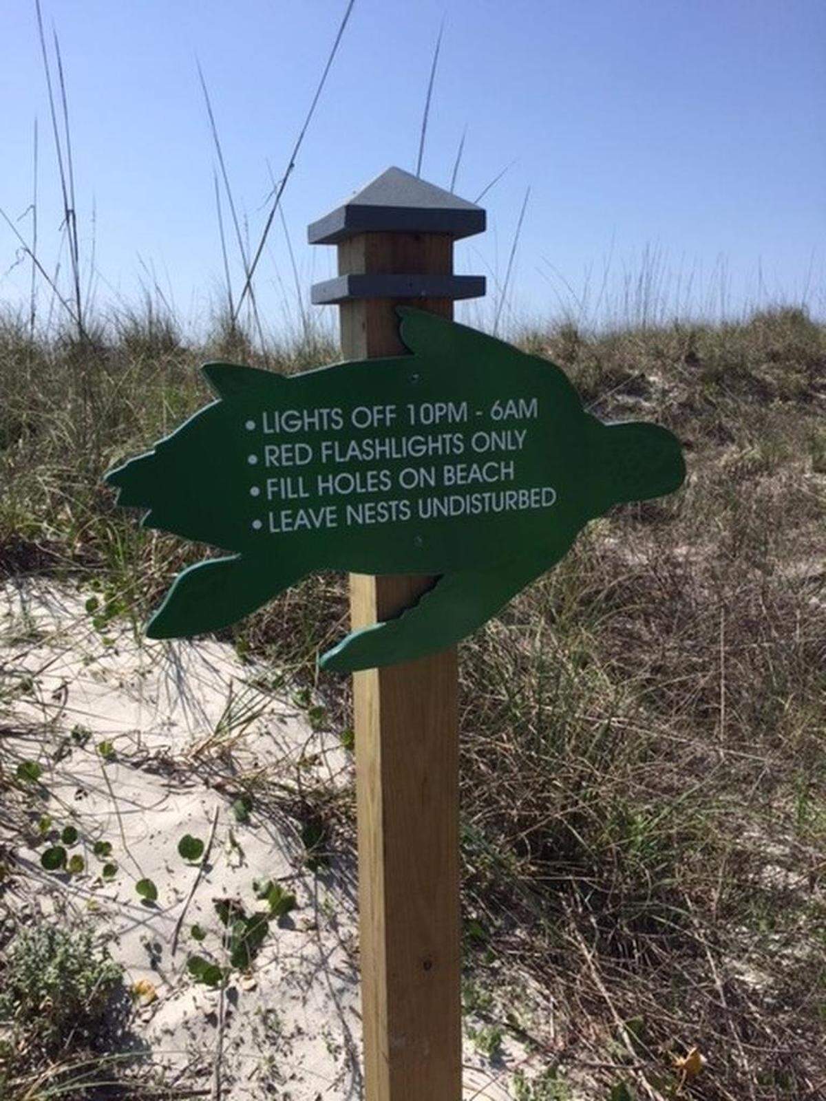Residents and visiting beachgoers are encouraged to keep several things in mind in regard to sea turtle nesting. Warnings like the one photographed here by marine biologist Amber Kuehn urge people to comply with the light ordinance and not to disturb the nests.