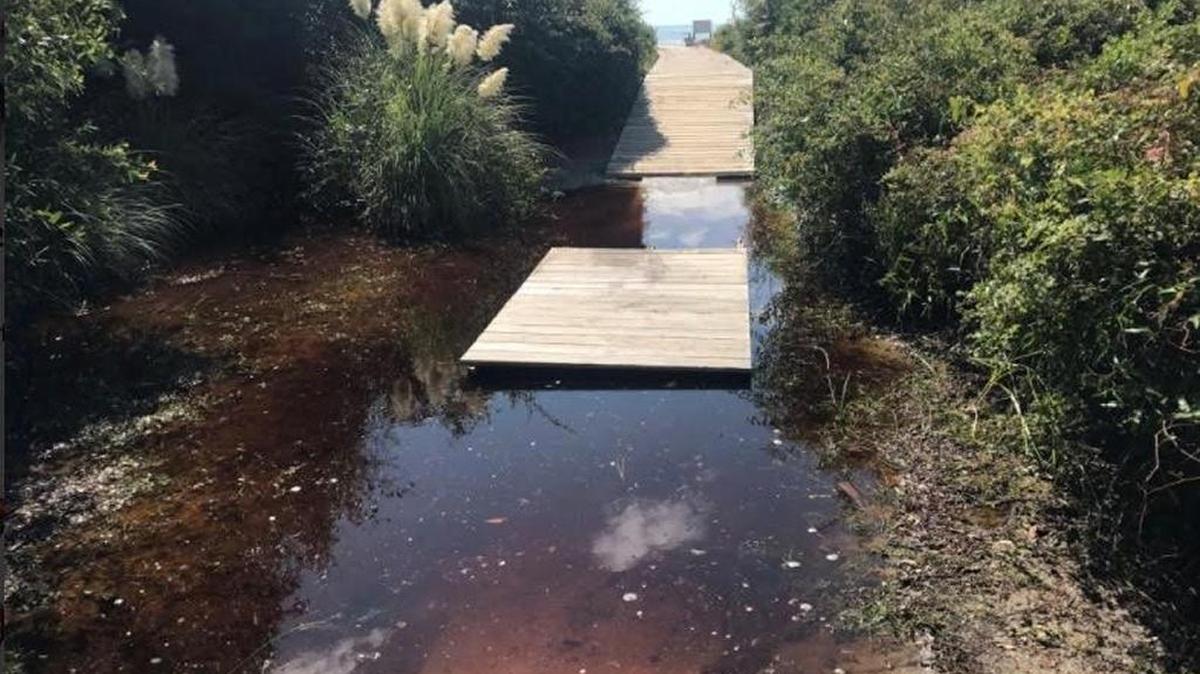 A boardwalk at the north end of Sea Pines on Hilton Head leading to the beach, still flooded Wednesday, Sept. 13, 2017, after Tropical Storm Irma hit two days before.