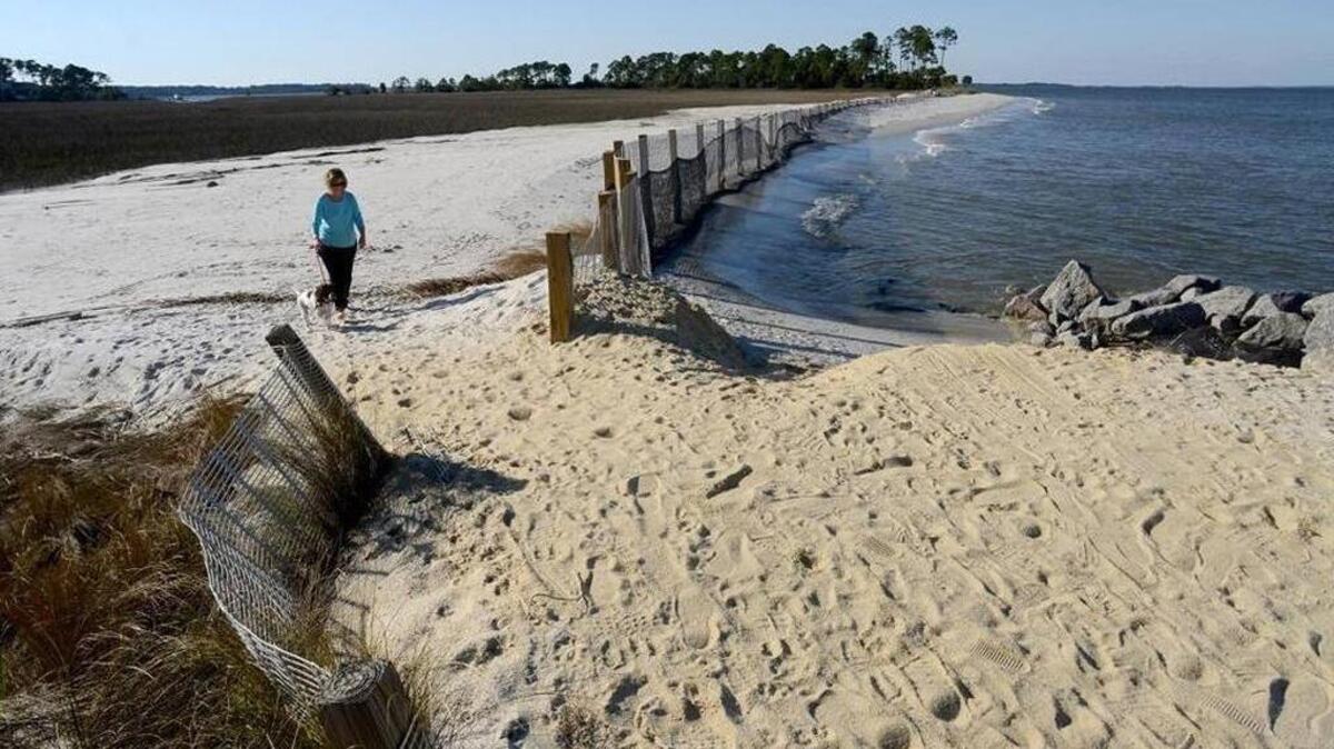 In this February file photo, Mary Loveless and her dog, Jack, walk past an eroded section of beach that threatens to cut off access to Hilton Head Plantation's Pine Island, background.