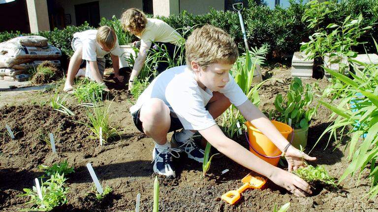 From concerts to beach sweeps, here are 5 ways to celebrate Earth Day in Beaufort County