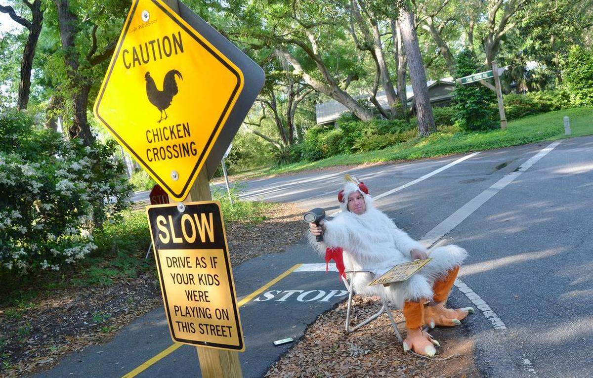 Logan Cambron points his radar detector at an oncoming car while patrolling Point Comfort Road for speeders in his chicken suit on April 26. Cambron’s signs, in the foreground, were later taken down by DOT workers for too closely resembling official road signs.