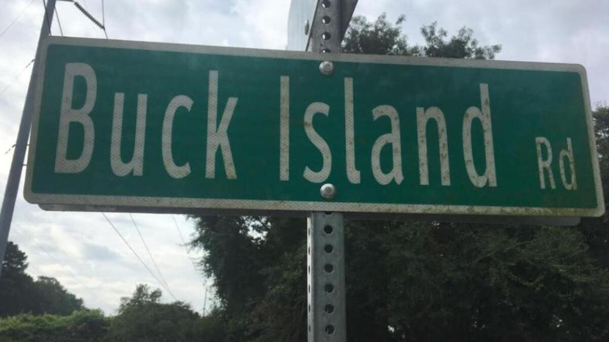 The Town of Bluffton will install about 1,000 feet of sidewalk on Buck Island Road from Simmonsville Road to Kitty Road.