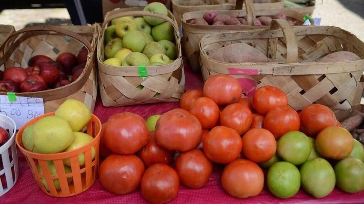 Fresh tomatoes and other produce on display at the Farmers Market of Bluffton.