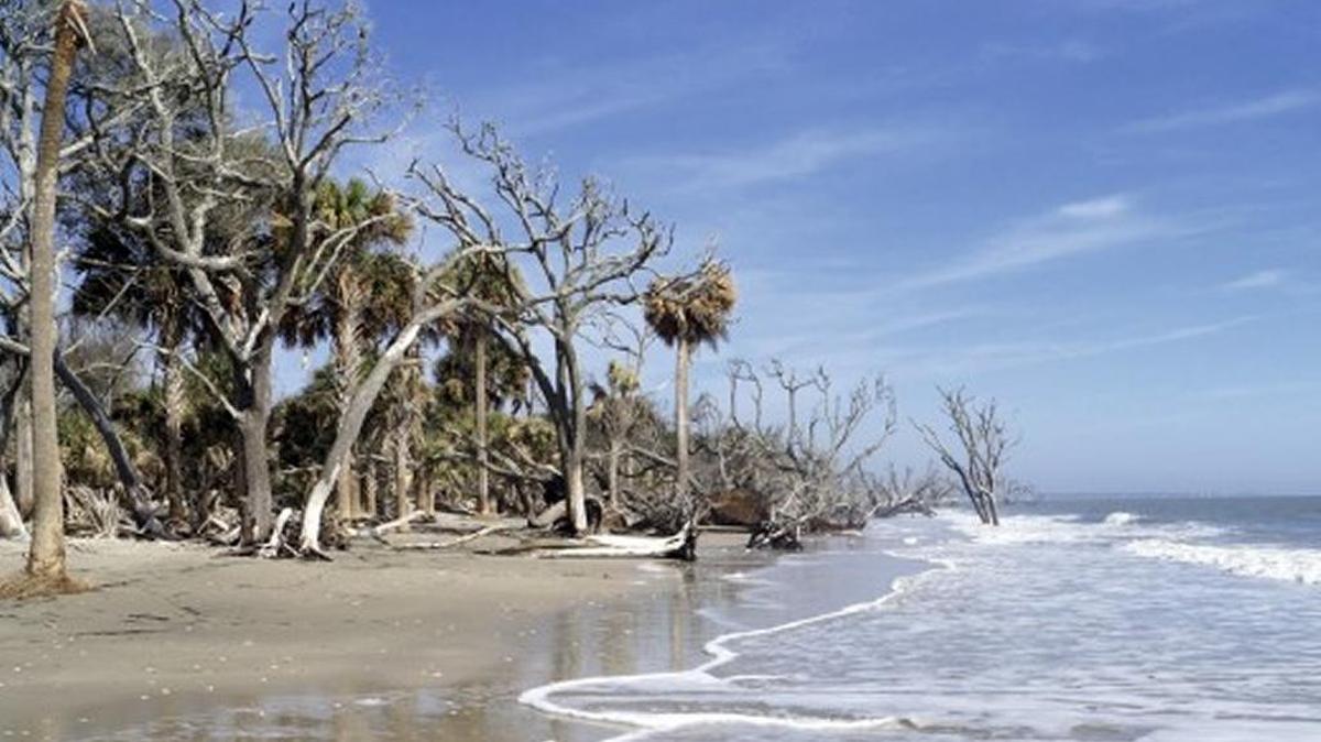 Tourists discovered human remains on Edisto Island on May 23, 2025. The Colleton County Sheriff’s Office believe the remains stem from an historic burial site.