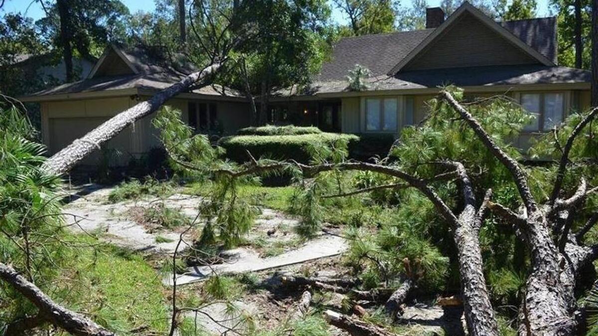 October damage on Otter Road in Sea Pines following Hurricane Matthew.