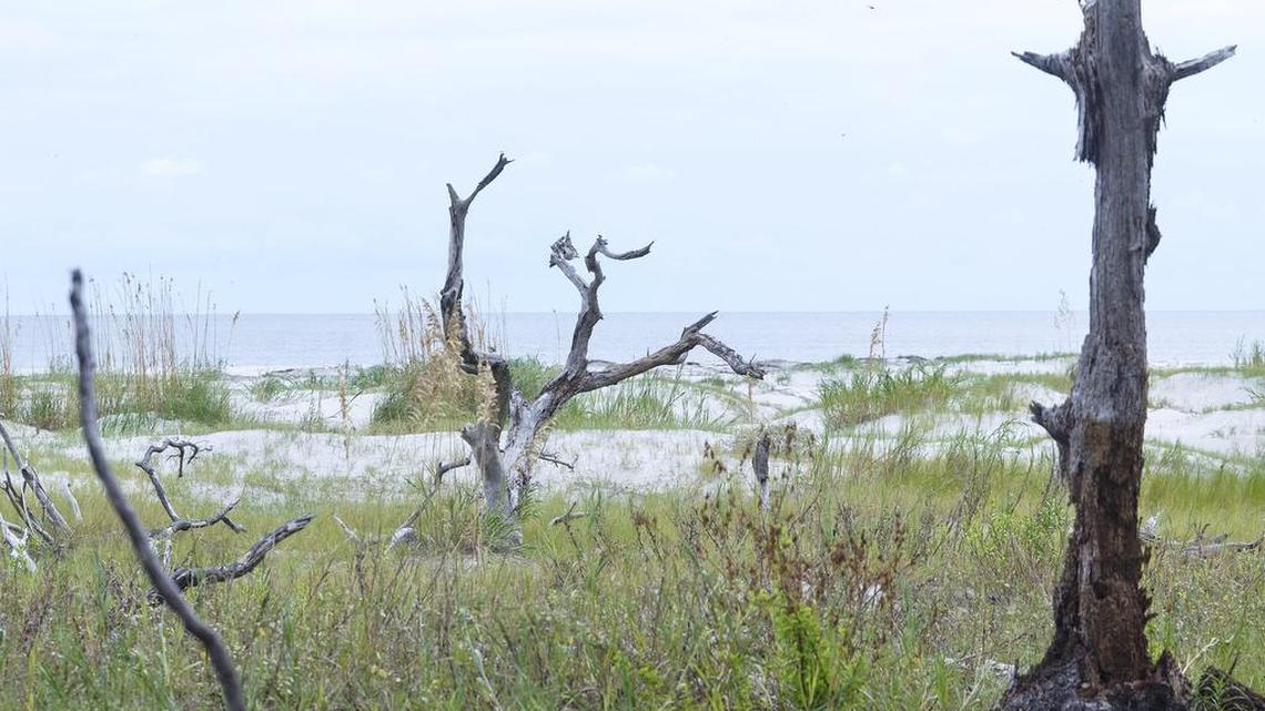 SC Gov. McMaster urges Beaufort County board to reject Bay Point resort plans