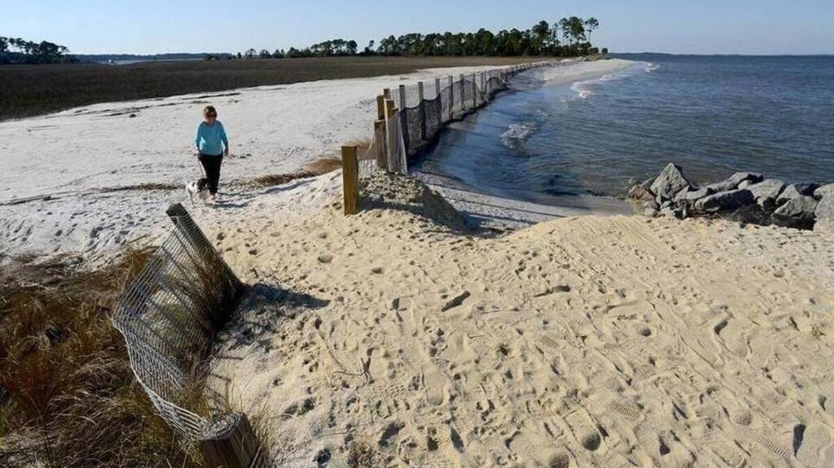 In this February file photo, Mary Loveless and her dog, Jack, walk past an eroded section of beach that threatens to cut off access to Hilton Head Plantation's Pine Island, background.