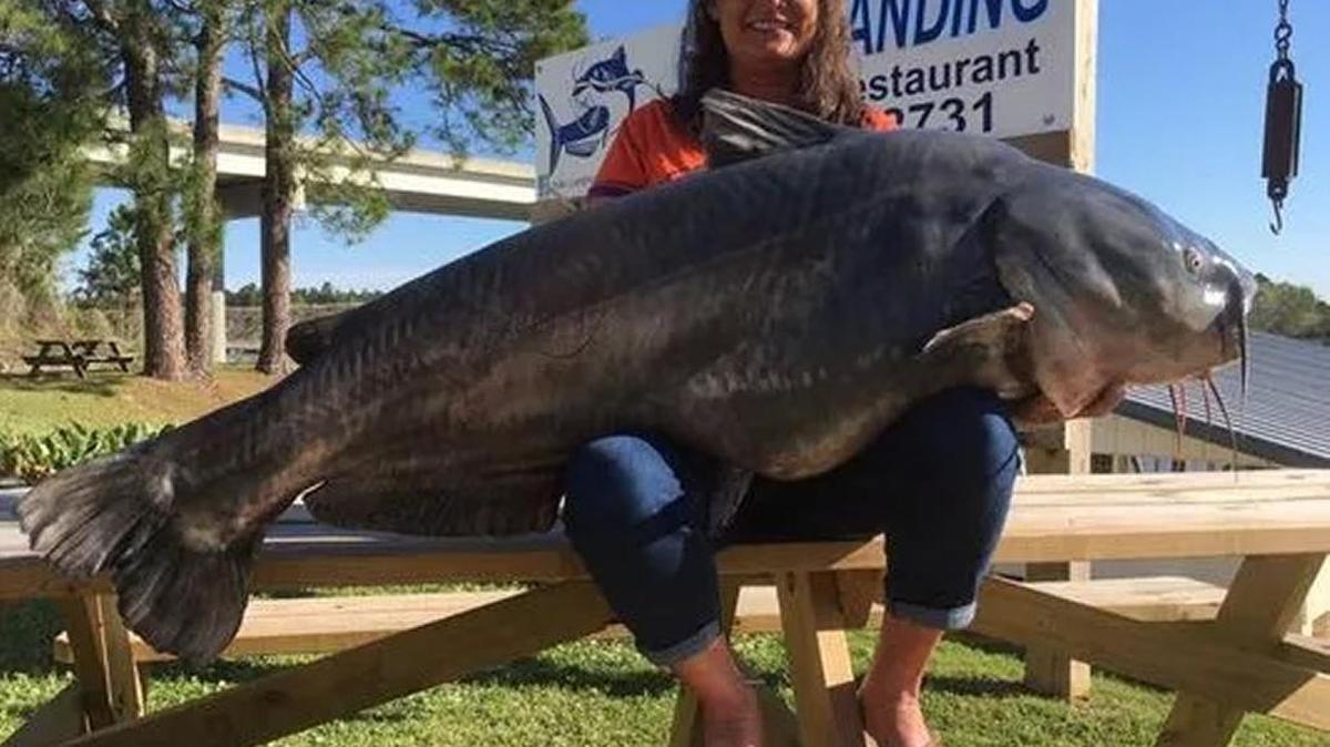Paula Haney shows off her pending state-record blue catfish at Hill's Landing near Cross, S.C.