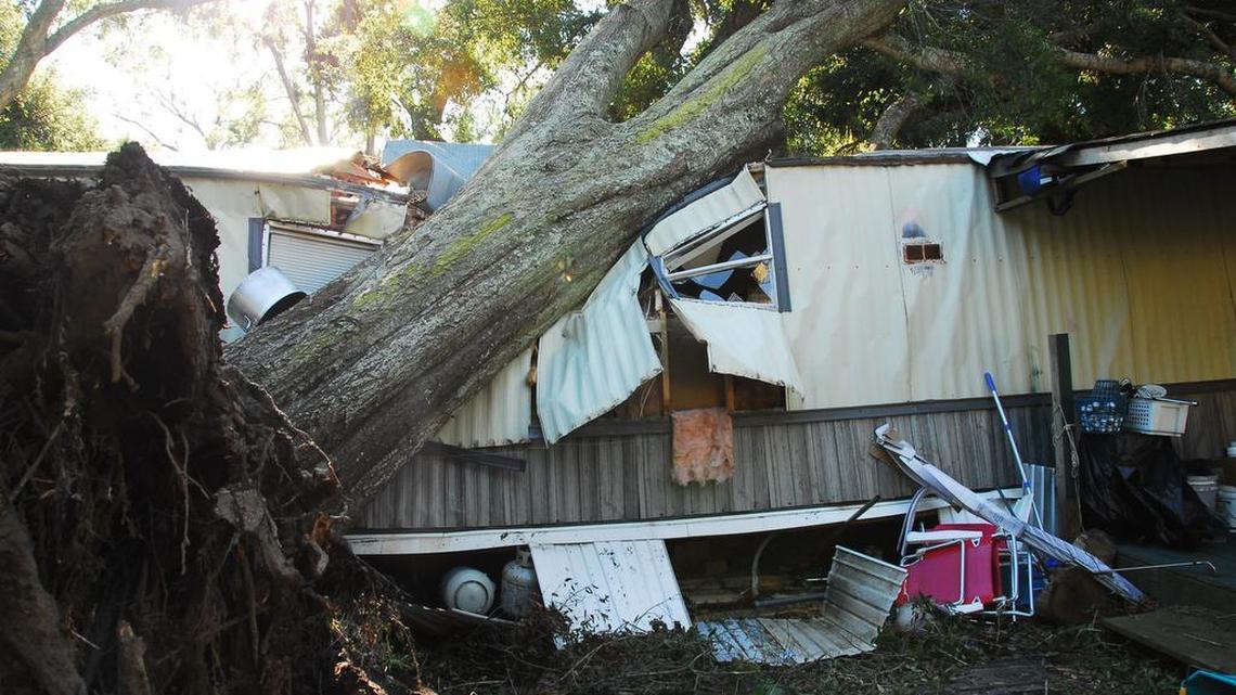 A tree crushed this residence on Marshland Road on Hilton Head Island.