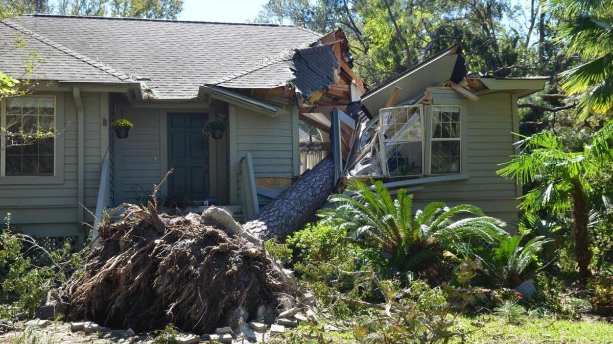 A falling pine tree sliced through this home like a hot knife through butter during Hurricane Matthew, which hit Hilton Head as a Category 2 storm in the early morning hours of Saturday, Oct. 8, 2016.