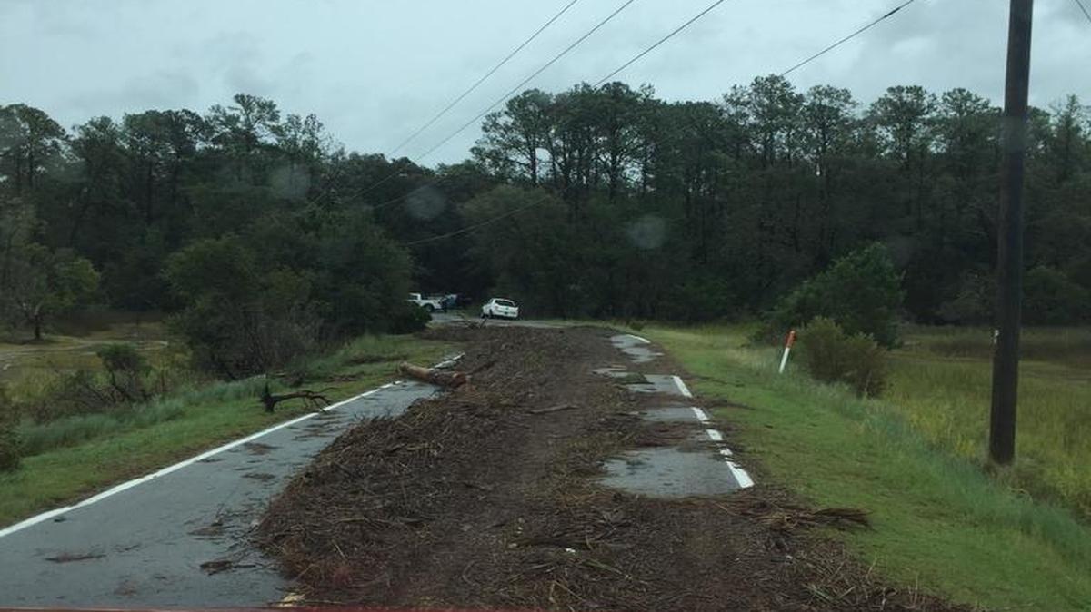 Islands Causeway on Lady’s Island, before Cat Island, is blocked by downed trees and power lines.