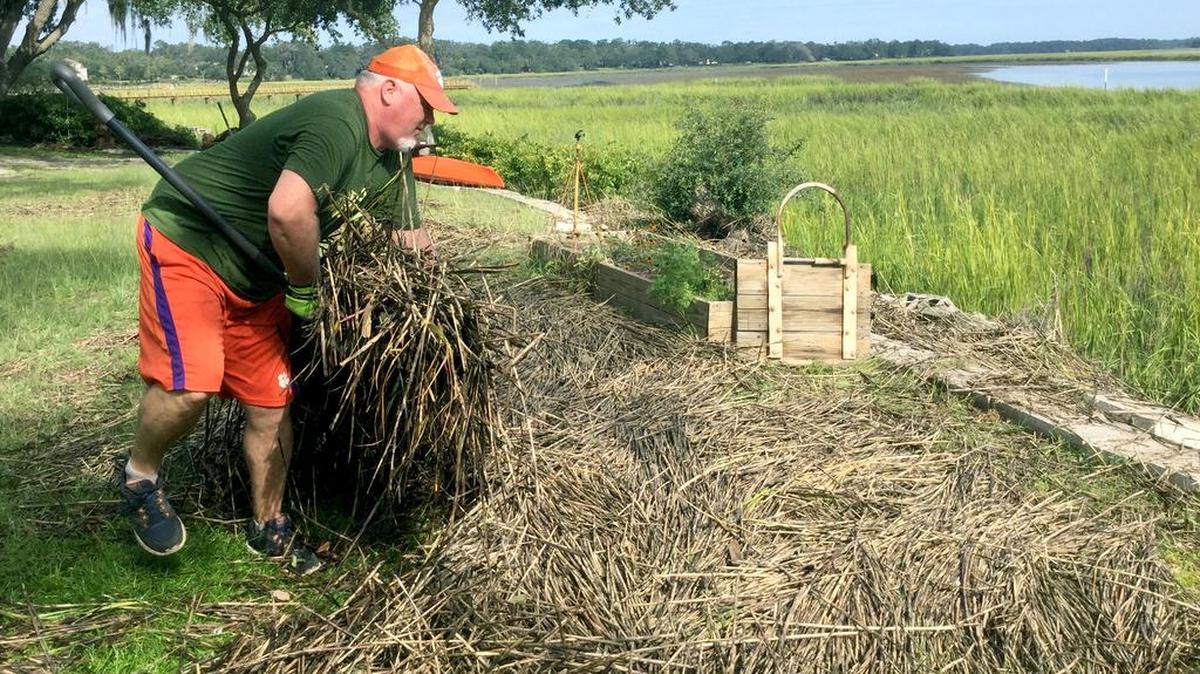 Beaufort resident Jay Kennedy, who stayed at his Hancock Street home for the tropical storm, carries a pile of reeds to the seawall on Wednesday, Sept. 13, 2017, that were pushed in by Tropical Storm Irma's storm surge and high tide.