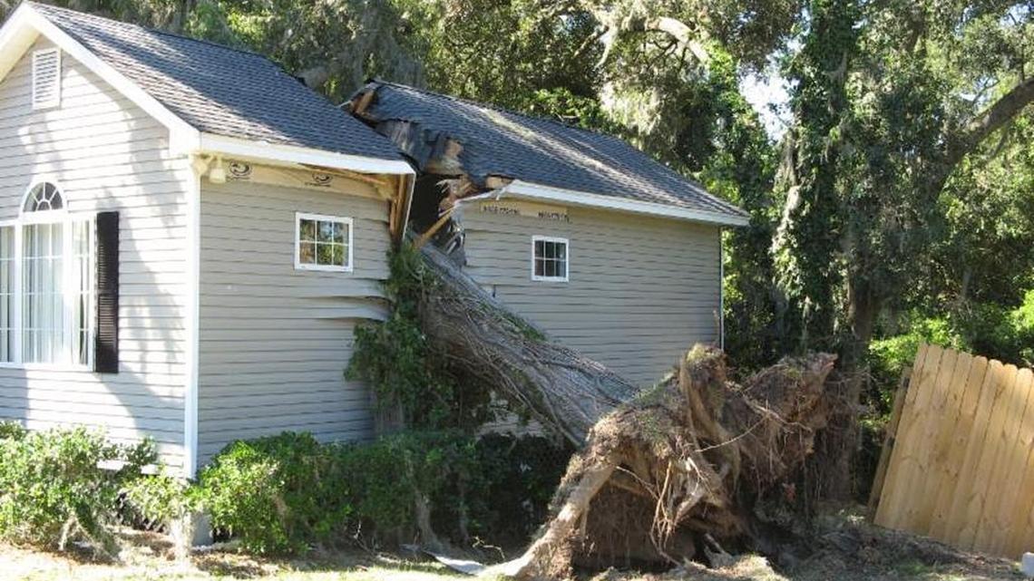 A home is split in half by a tree felled by Hurricane Matthew. The image of an unidentified home was taken from an email newsletter published Wednesday, Oct. 12, 2016, by city of Beaufort Mayor Billy Keyserling. Beaufort County has reopened its codes offices Wednesday, which means those who need permits for repairs and rebuilding can apply for them again.