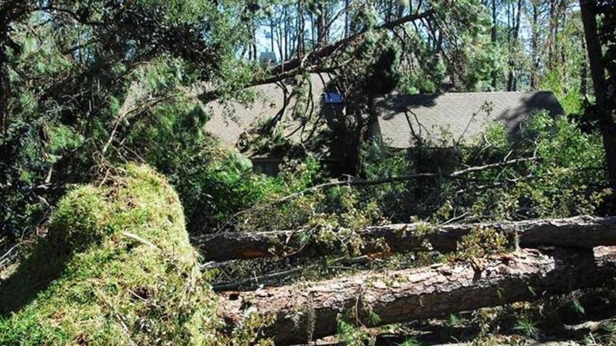 The cost of removing the debris in this Hilton Head Plantation yard might have to be covered by the gated community unless FEMA grants an exception local and state officials are asking for.