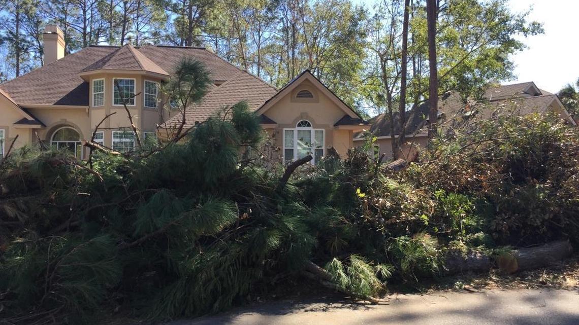 Debris piles rise in Palmetto Hall Plantation on Hilton Head Island as local officials won’t step in until FEMA makes a decision on reimbursement.