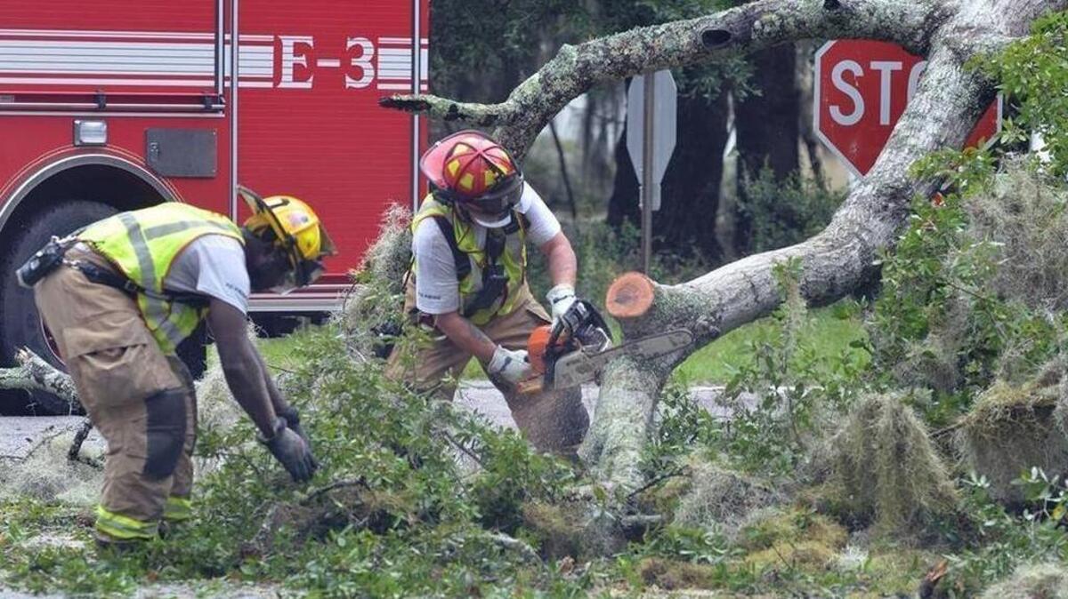 Beaufort-Port Royal Fire Department firefighters Arvell Graham, left, and Gary Guldner work to remove a fallen tree from the corner of Madrid Avenue and 16th Street in Port Royal on Oct. 8, 2016, after Hurricane Matthew blew through the area earlier in the day.
