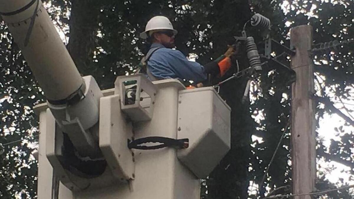 File photo: A Palmetto Electric lineman repairs power lines damaged by Tropical Storm Hermine on Sept. 2, 2016.