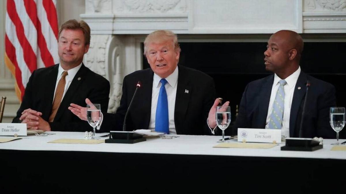 President Donald Trump, flanked by U.S. Sens. Dean Heller, R-Nev., left, and Tim Scott, R-S.C., speaks at a luncheon with GOP leadership earlier this year.
