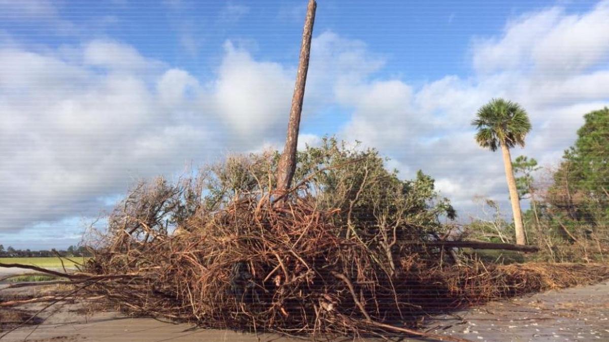 Hilton Head Plantation: Erosion at Pine Island