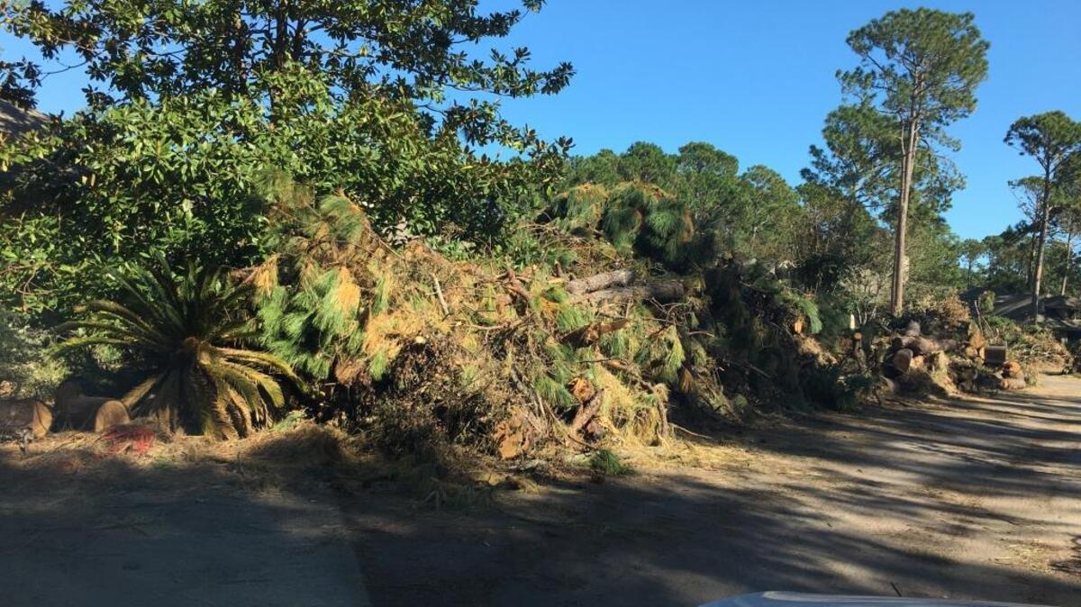 Piles of debris line the shoulders along Oyster Bay Place and Oyster Batteau, two roads in Hilton Head Plantation.