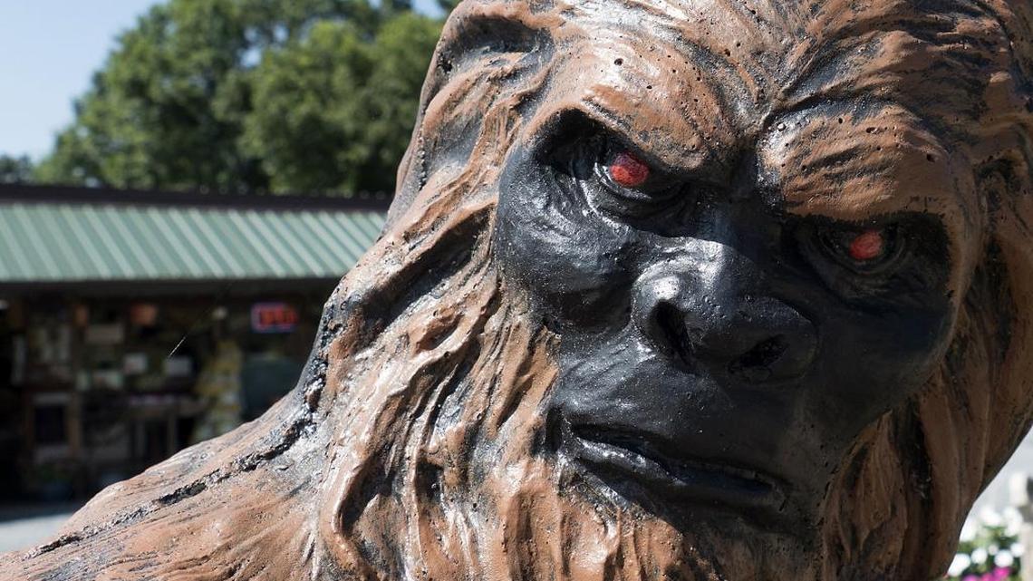NC group reports Bigfoot sighting over the weekend northwest of Charlotte