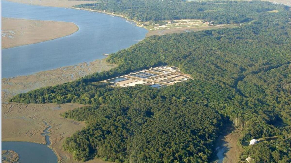 This aerial photo provided by the Waddell Mariculture Center shows the center and its surrounds of Victoria Bluff on the Colleton River near Bluffton. It is the area that was considered for a petrochemical plant in 1969.