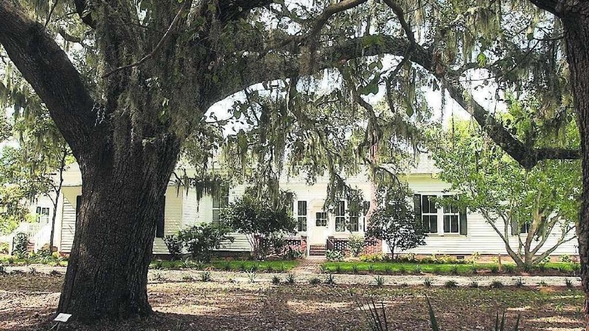 A large live oak frames the Discovery House at the Coastal Discovery Museum at Honey Horn. After extensive renovations the museum opened its doors to the public on Oct. 27, 2007.