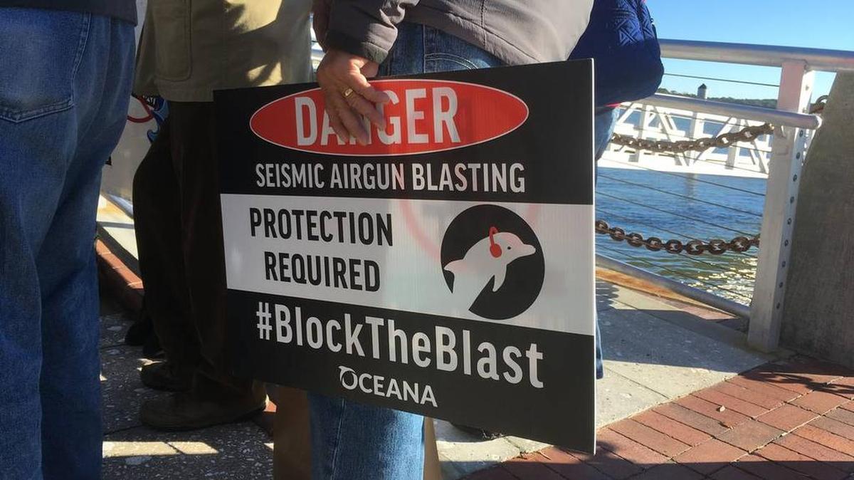 A sign held during a news conference in Beaufort’s Henry C. Chambers Waterfront Park in 2018 objects to the effect of seismic testing on marine animals. Beaufort, Port Royal, Bluffton and Hilton Head were among 16 South Carolina cities to sue federal regulators in an effort to block permits for oil and gas exploration in the Atlantic Ocean.