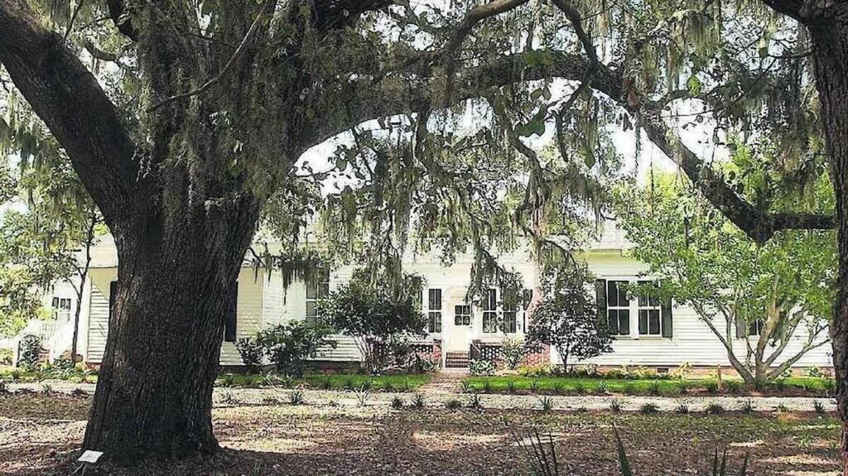 A large live oak frames the Discovery House at the Coastal Discovery Museum at Honey Horn, a 68-acre tract owned by the Town of Hilton Head Island that is largely open space.