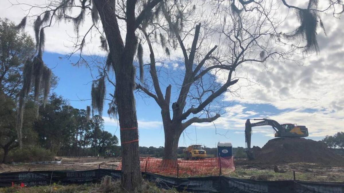 Land-clearing on Marshland Road on Hilton Head Island in January 2019.