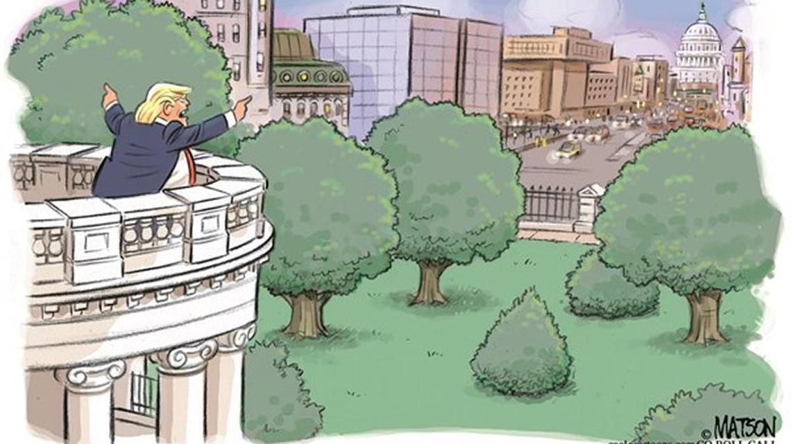 A political ax murder