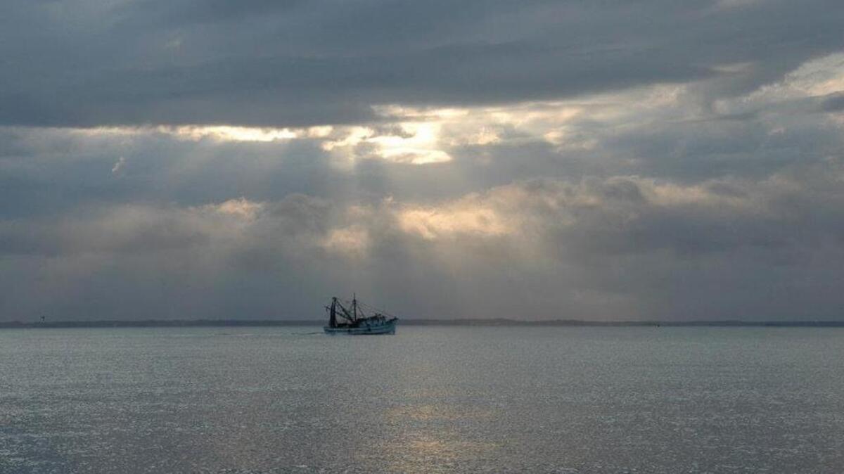 Recent land purchases by the Beaufort County Rural and Critical Lands Program and the Port Royal Sound Foundation will help protect Port Royal Sound and its fisheries.
