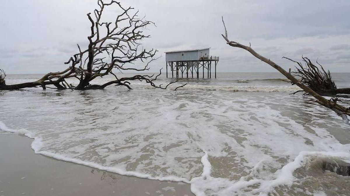 Beach erosion along Cabin Road in Hunting Island State Park.
