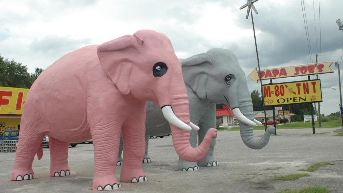 Elephants and fireworks seem like a perfect pair in Hardeeville, S.C.