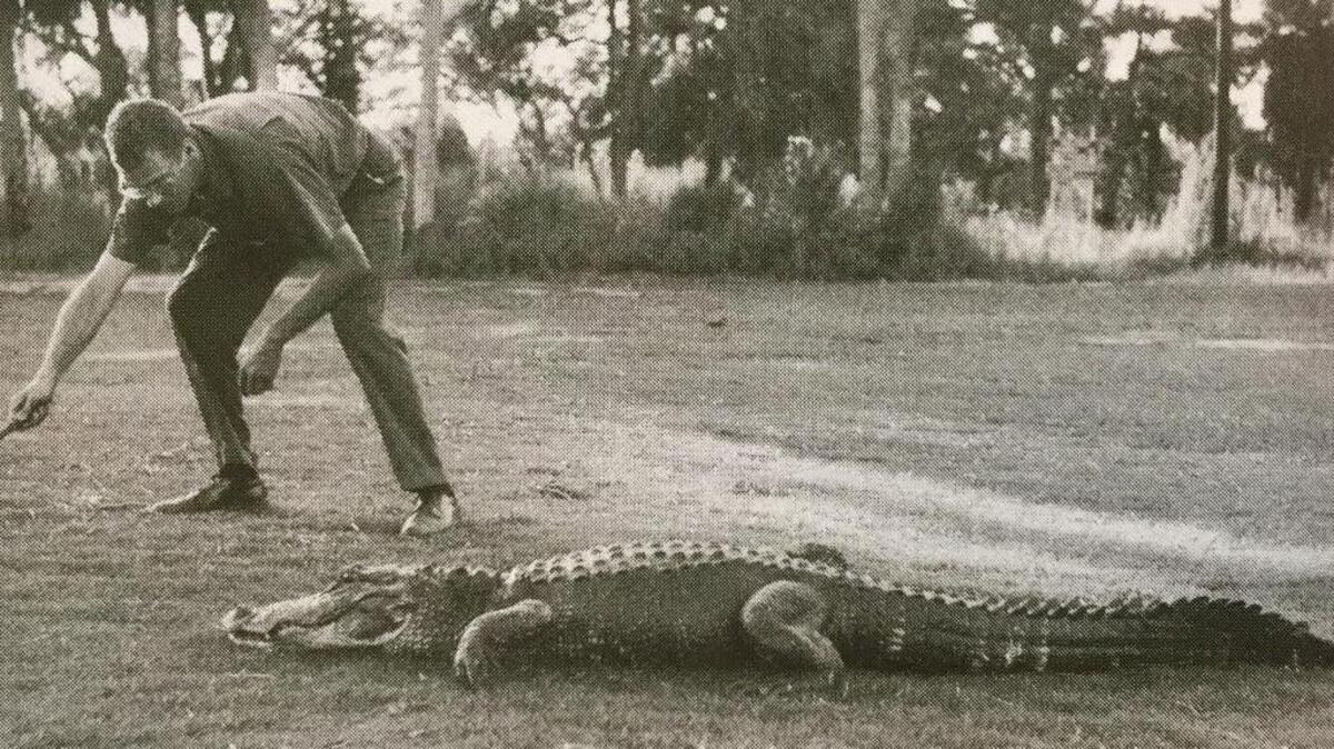 John McGrath grabbed a stick to help keep the large alligator named Albert on the Sea Pines golf course while the Saturday Evening Post photographer set up the iconic shot with Charles Fraser that brought national attention to the fledgling resort in 1962.