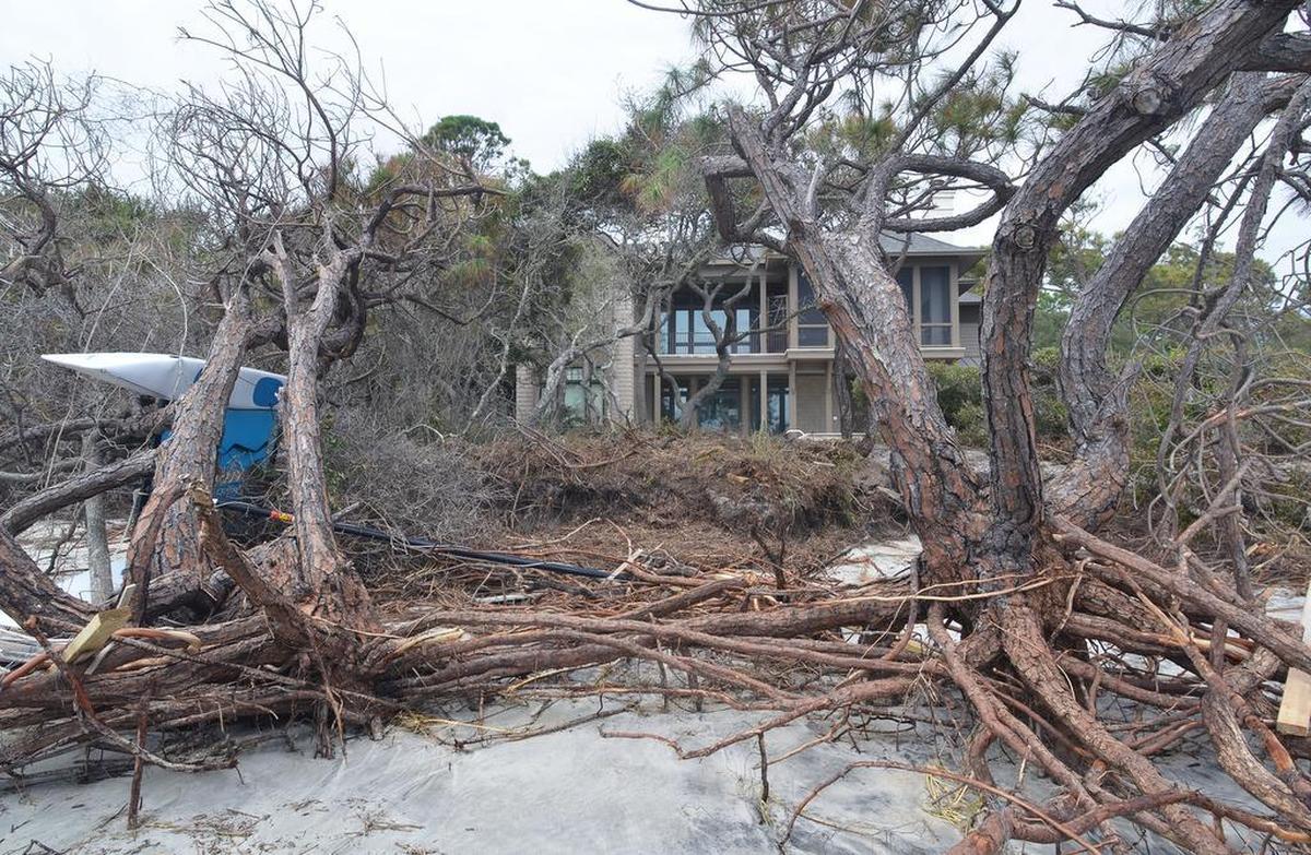 A catamaran, left, ended up on its side and entangled in these dead trees in front of a beachfront home along South Beach on Hilton Head Island after being washed there by the storm surge from Tropical Storm Irma on Monday. South Beach was badly eroded by Hurricane Matthew in 2016, and suffered another blow with Irma.