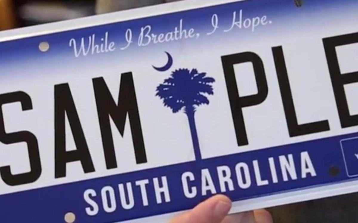 The South Carolina Department of Motor Vehicles began issuing a new South Carolina license plate in 2016, featuring the palmetto tree and crescent moon in indigo with a white background. It uses the state motto, ‘While I Breathe, I Hope.’