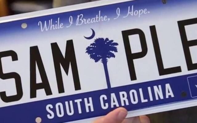 South Carolina unveils new 2026 license plates | Hilton Head Island Packet