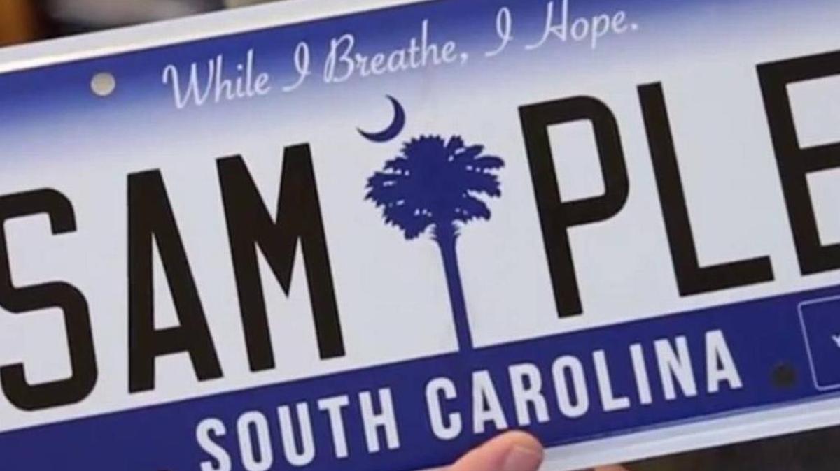 The South Carolina Department of Motor Vehicles began issuing a new South Carolina license plate in 2016, featuring the palmetto tree and crescent moon in indigo with a white background. It uses the state motto, ‘While I Breathe, I Hope.’