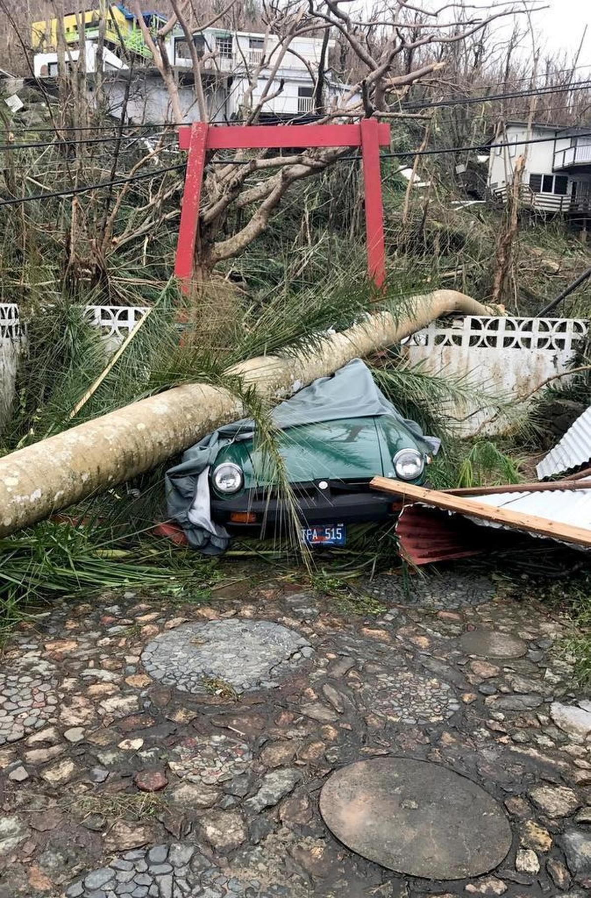 The gate to Catherine Wilson’s ‘Shangri-La’ from the inside after Hurricane Irma, looking over what used to be a rain forest.