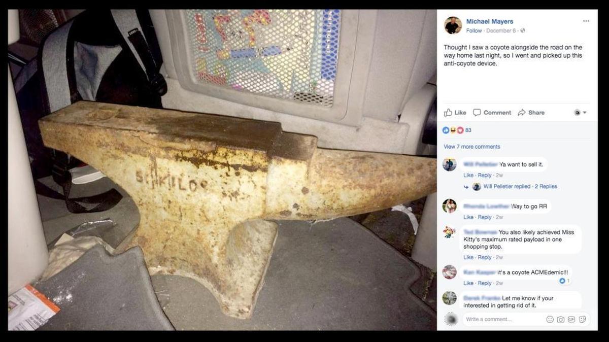 Facebook post by Michael “Mick” Mayers after he spotted a coyote on Hilton Head Island.