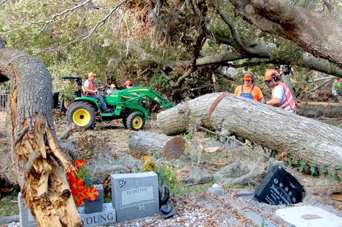Volunteers with Shepherd’s Heart Disaster Response Ministry associated with the Lutheran Church Missouri Synod cut and removed more than 20 large trees that fell in the Talbird Cemetery when Hurricane Matthew struck on Oct. 8, 2016.