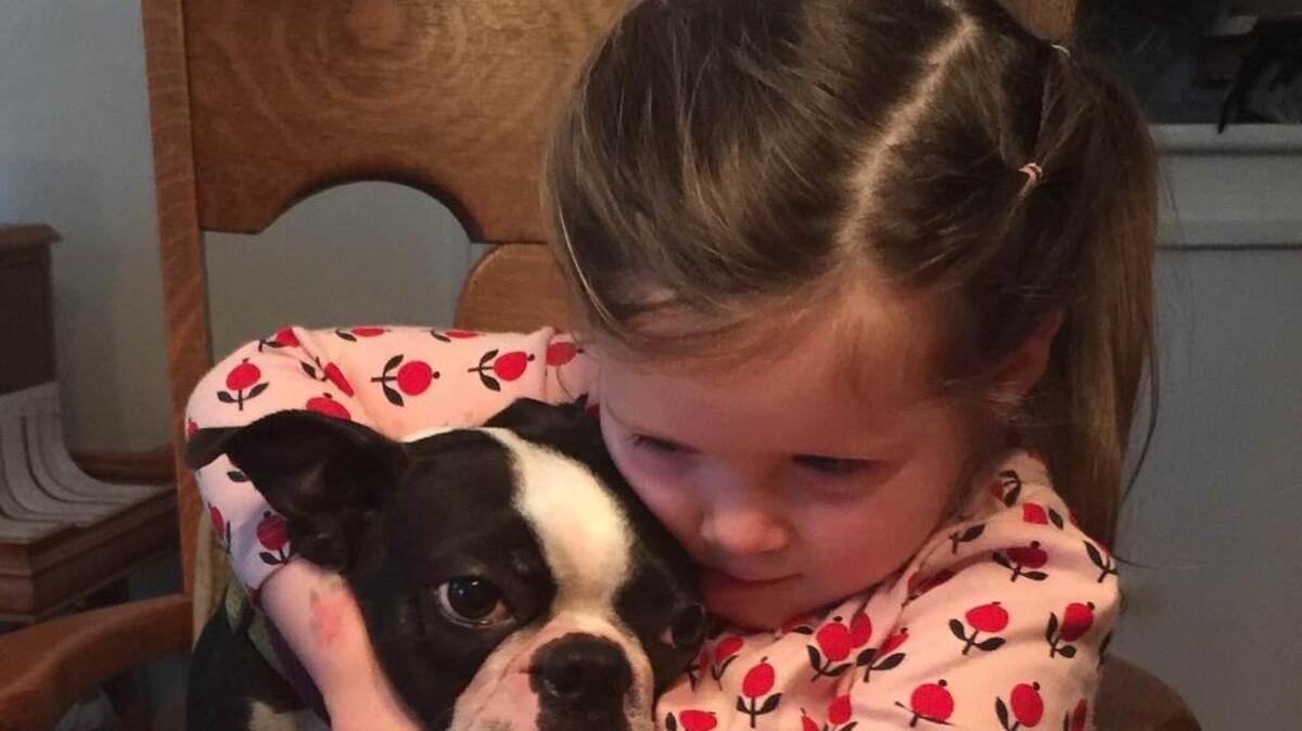 Hugs like this adorable one here can stress out a dog, according to a recent report in Psychology Today.
