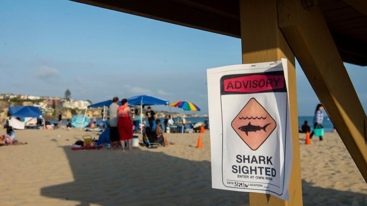 In this Sunday, May 29, 2016, photo, people stand on the beach at Corona del Mar beach in Newport Beach, Calif. Thousands of Memorial Day beachgoers were kept out of the water Monday as lifeguards searched miles of popular Southern California shoreline for a shark they believe attacked a swimmer the day before.