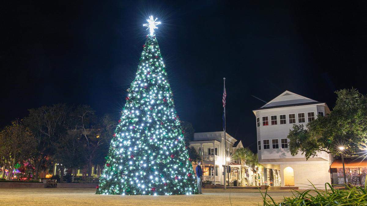 Beaufort Christmas