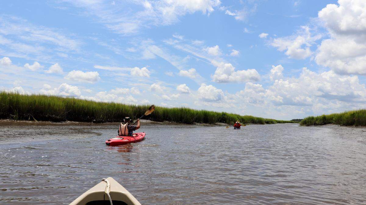 Racing the tide: kayakers Scott Hansen of Seabrook and Tim Brown of Savannah paddle an outgoing tide along a shallow creek off Williman Island in the St Helena Sound Heritage Preserve.