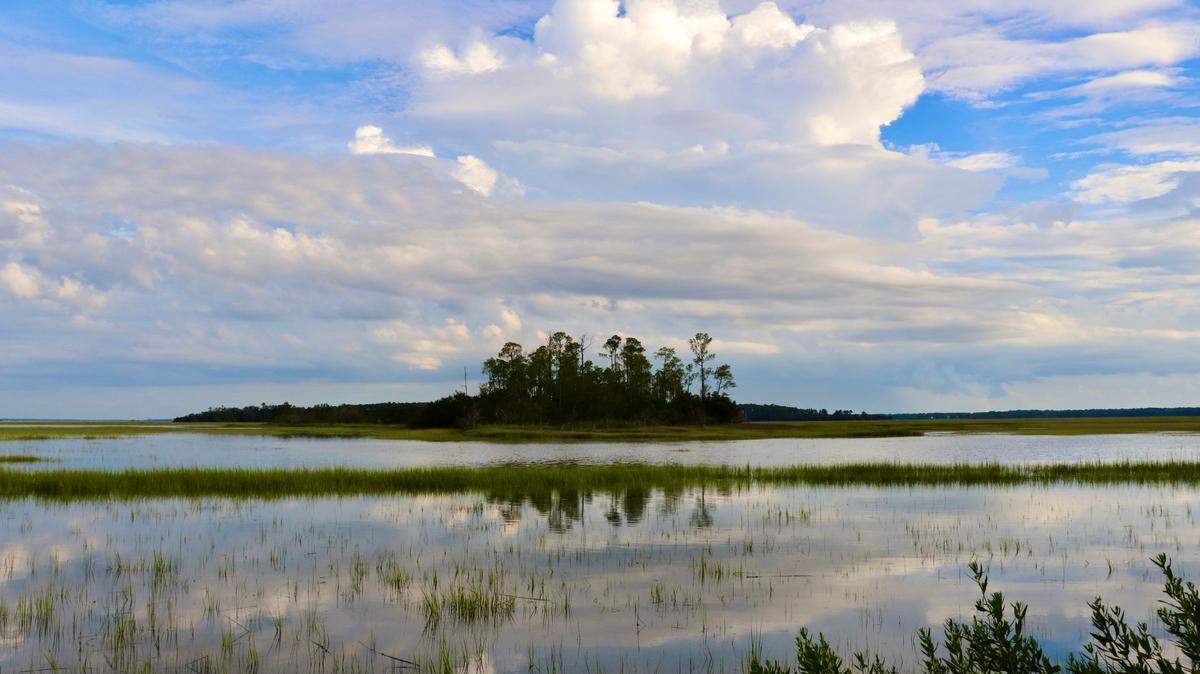 Island of earth, sky and water: Widgeon Point Preserve, one of Beaufort County’s newest passive parks, is located on the Broad River and offers views of the marshes of Port Royal Sound and the kingdom of the tide as it flows between the island hammocks and winding creeks.