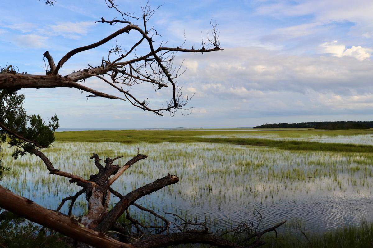 The high tide laps along the edge of Widgeon Point Preserve on Port Royal Sound. This park, located off S.C. 170, offers expansive views of the Broad River and the marshes of Port Royal Sound.
