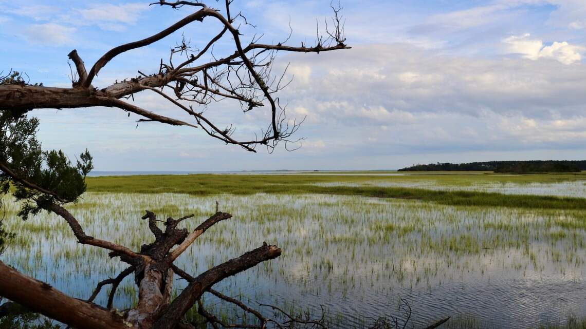 Developing SC barrier islands can be harmful to coastal environment